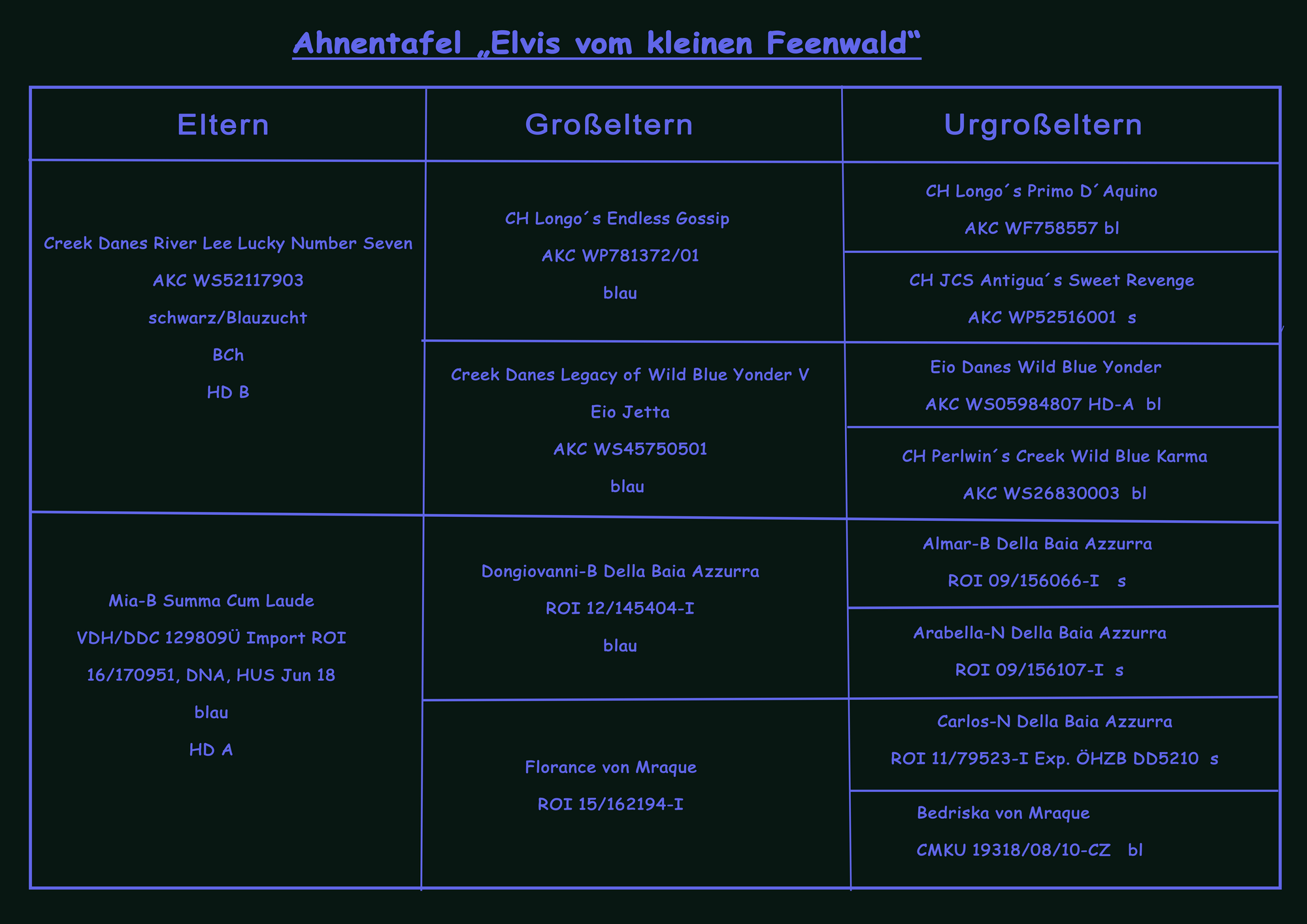 Deutsche Doggen vom Blu Beleza