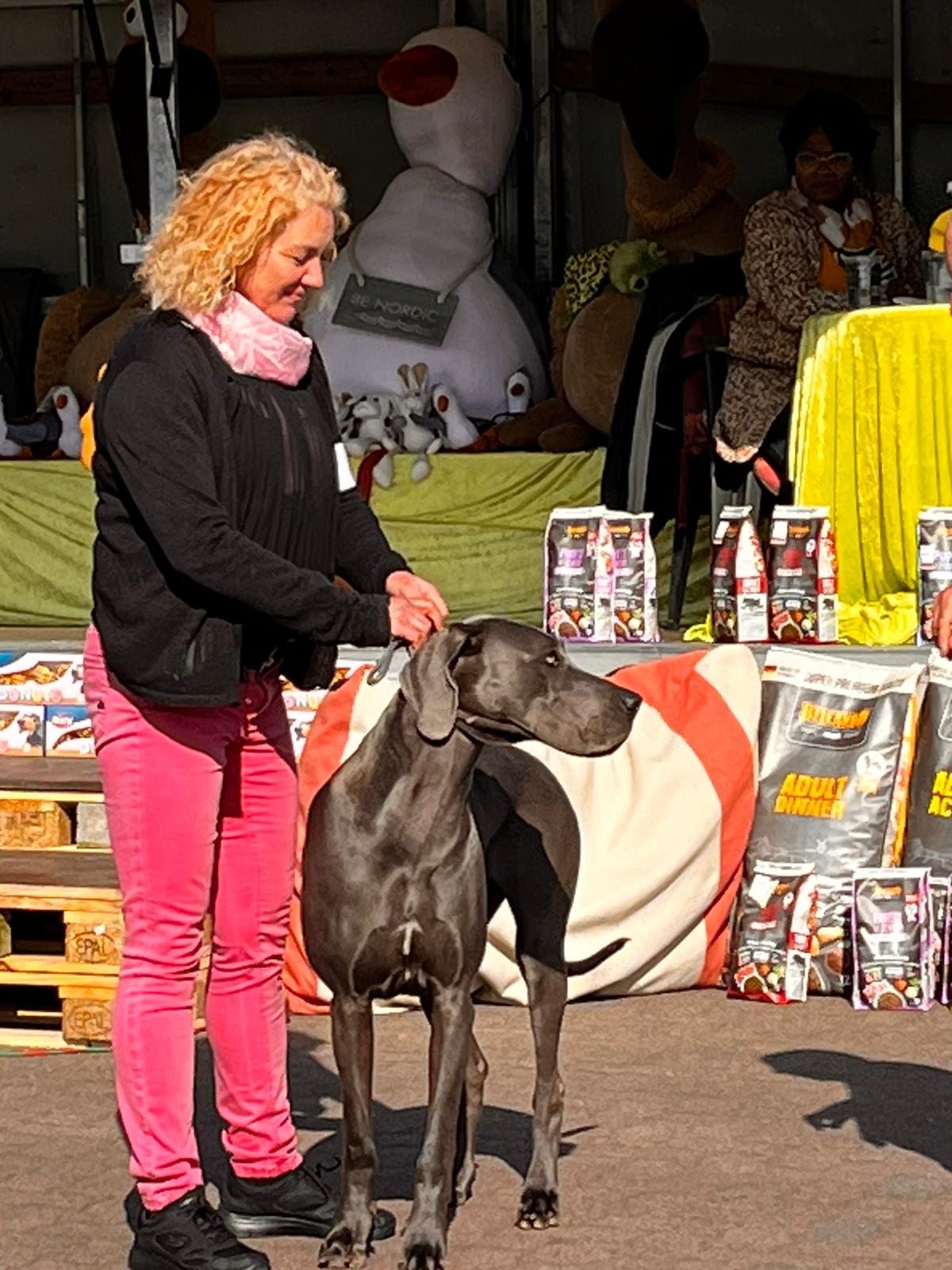 Doggen vom Blu-Beleza