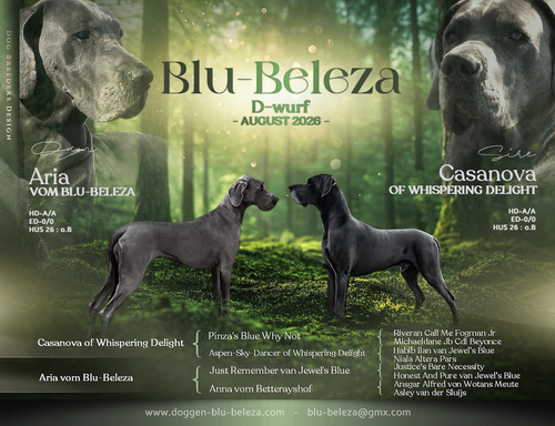 Deutsche Doggen vom Blu Beleza